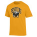 Футболка Pittsburgh Penguins Champion Gold Helmet