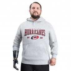 Carolina Hurricanes G-III Sports by Carl Banks Gray Adaptive Classic Team Spirit Fleece Hoodie