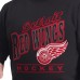 Detroit Red Wings G-III Sports by Carl Banks Black Adaptive Headliner Fleece Sweatshirt
