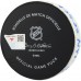 Chris Terry New York Islanders Fanatics Authentic Game-Used Goal Puck vs. New York Rangers on September 25, 2025