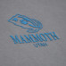 Толстовка Utah Mammoth Mitchell & Ness Gray Core Essentials