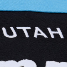 Толстовка Utah Mammoth Mitchell & Ness Black Head Coach