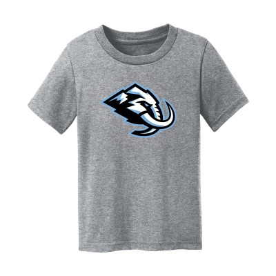 Малышам Utah Mammoth Chad & Jake Heather Gray Primary Logo T-Shirt