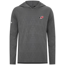 Толстовка Carolina Hurricanes Levelwear Gray Spike