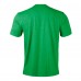 Winnipeg Jets Levelwear Green St. Patricks Day Richmond T-Shirt