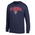 Футболка Florida Panthers Champion Navy Jersey Long-Sleeve