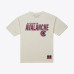 Colorado Avalanche Mitchell & Ness Cream Core Plus T-Shirt