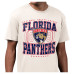 Футболка Florida Panthers Starter Cream Distressed Rink