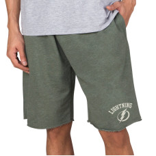Шорты Tampa Bay Lightning Concepts Sport Green Mainstream Tri-Blend Terry Шорты Tampa Bay Lightning Concepts Sport Green Mainstream Tri-Blend Terry
