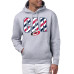 Толстовка Carolina Hurricanes Starter Gray Americana
