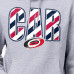 Толстовка Carolina Hurricanes Starter Gray Americana