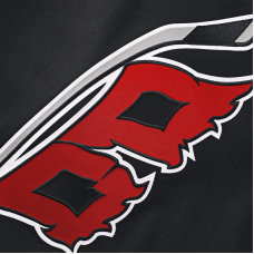Джерси Carolina Hurricanes Sebastian Aho Fanatics Black 2026 Stanley Cup Champions Home Premium Patch Джерси Carolina Hurricanes Sebastian Aho Fanatics Black 2026 Stanley Cup Champions Home Premium Patch