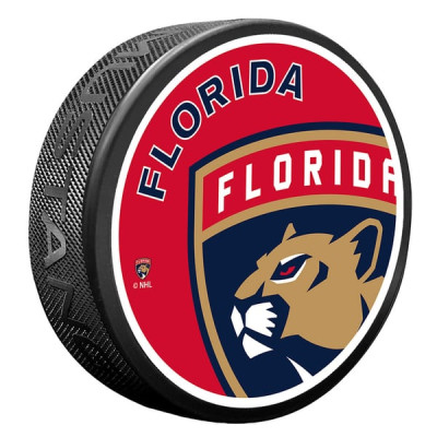 Шайба Florida Panthers Icon