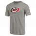 Футболка Carolina Hurricanes Ash Distressed Team Logo Tri-Blend