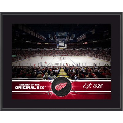 Detroit Red Wings Fanatics Authentic 10.5 x 13 Sublimated Team Plaque
