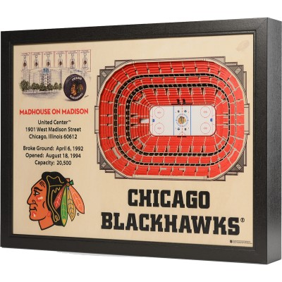 Chicago Blackhawks 27 x 21 United Center Wall Art