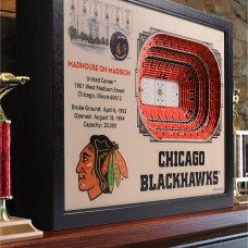 Chicago Blackhawks 27 x 21 United Center Wall Art
