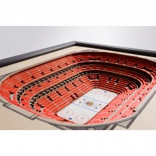 Chicago Blackhawks 27 x 21 United Center Wall Art