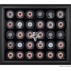 Florida Panthers Fanatics Authentic (1993-2016) 30-Puck Black Display Case