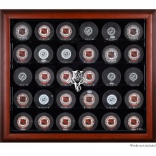 Florida Panthers Fanatics Authentic (1993-2016) 30-Puck Mahogany Display Case