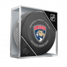Florida Panthers Unsigned InGlasCo 2019 Model Official Game Puck