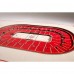 Detroit Red Wings 17 x 13 5-Layer StadiumViews 3D Wall Art