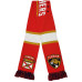 Шарф Florida Panthers Home