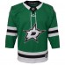 Подростковая Dallas Stars Green Home Premier Jersey