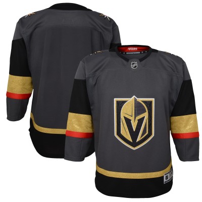 Подростковая Vegas Golden Knights Gray Alternate Premier Blank Jersey