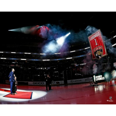 Игровая джерси Unsigned Florida Panthers Roberto Luongo Fanatics Authentic Retirement Night Photograph