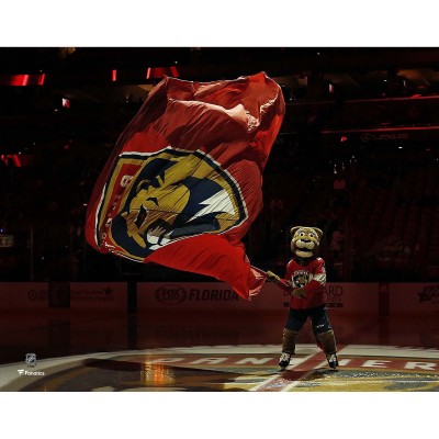 Unsigned Florida Panthers Stanley C. Panther Fanatics Authentic Waving Flag Photograph