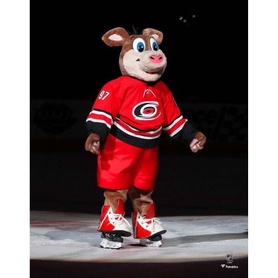 Unsigned Carolina Hurricanes Stormy Fanatics Authentic Storm Surge Celebration Photograph