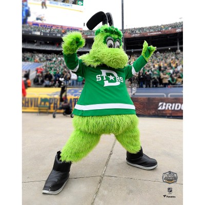 Unsigned Dallas Stars Victor E. Green Fanatics Authentic 2020 Winter Classic Photograph