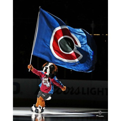 Unsigned Colorado Avalanche Bernie The St. Bernard Fanatics Authentic Waving Flag Photograph