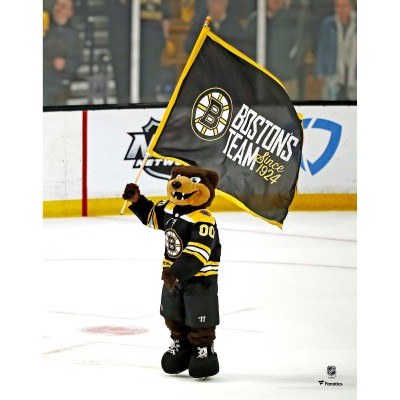 Unsigned Boston Bruins Blades Fanatics Authentic Waving Flag Photograph