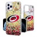 Чехол на iPhone NHL  Carolina Hurricanes Confetti Glitter - оригинальные мобильные аксессуары НХЛ