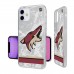 Чехол на телефон Arizona Coyotes iPhone Stripe Clear Ice