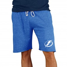 Tampa Bay Lightning Concepts Sport Mainstream Terry Shorts - Royal