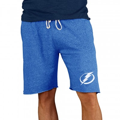Шорты Tampa Bay Lightning Concepts Sport Mainstream Terry - Royal