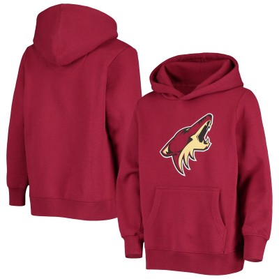 Толстовка Arizona Coyotes Youth Primary Logo - Garnet