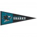 Чехол на iPhone NHL  San Jose Sharks Folio - оригинальные мобильные аксессуары НХЛ