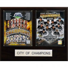 Pittsburgh Steelers & Pittsburgh Penguins 16 x 20 City of Champions Plaque