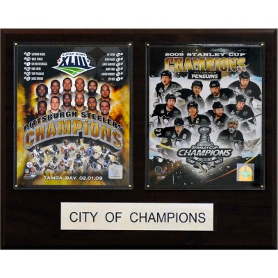 Pittsburgh Steelers & Pittsburgh Penguins 16 x 20 City of Champions Plaque