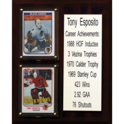 Chicago Blackhawks Tony Esposito 8 x 10 Team Plaque