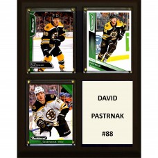Boston Bruins David Pastrnak 8 x 10 Plaque