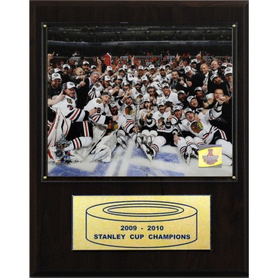 Chicago Blackhawks 2010 Stanley Cup Champions 12 x 15 Team Photo Plaque
