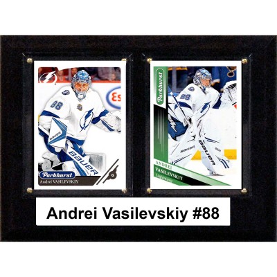 Tampa Bay Lightning Andrei Vasilevskiy 6 x 8 Plaque