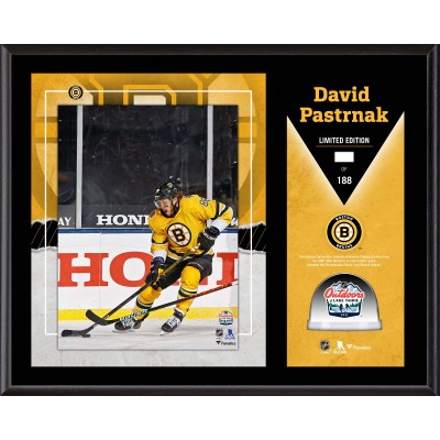 Boston Bruins David Pastrnak Fanatics Authentic 12 x 15 2021 NHL Outdoors at Lake Tahoe Sublimated Plaque with Game-Used Ice from the 2021 Outdoor Games at Lake Tahoe - Limited Edition of 188