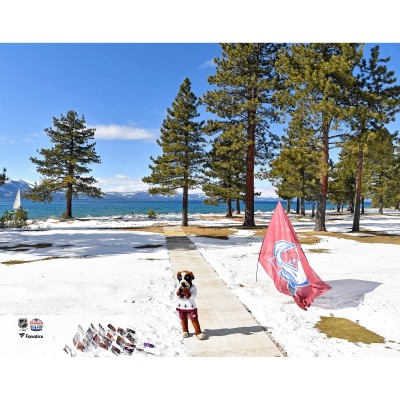 Unsigned Colorado Avalanche Bernie the St. Bernard Fanatics Authentic 2021 Outdoors at Lake Tahoe Photograph
