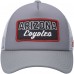 Бейсболка Arizona Coyotes Adidas Locker Room Foam - Gray/White - оригинальные бейсболки/кепки/шапки Аризона Койотис